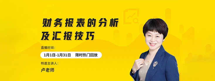 财务报表的分析及汇报技巧