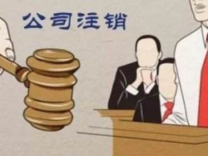 浦东有限责任公司清算组怎么备案呢?