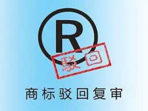 不看后悔哦!教你如何提高商标驳回复审率