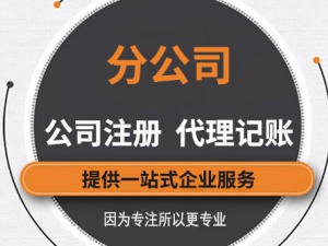 成立子公司的好处有哪些，什么情况下需要成立子公司