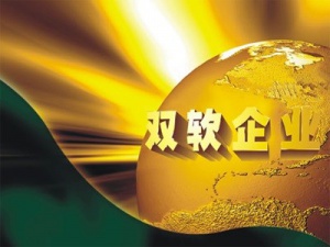 双软企业认定条件 符合这些条件即可获得双软认证