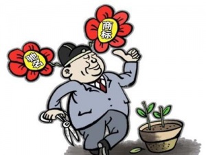 过时不候 商标续展的时间要求