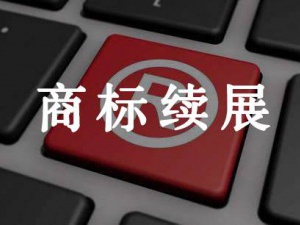 商标续展详细流程 别错过申请时间而失去商标