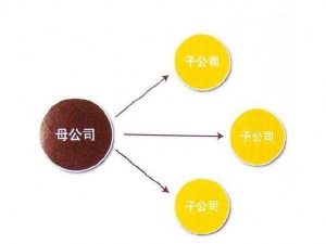 分公司和子公司 作用相同属性大不同