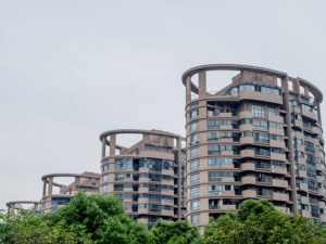 信息咨询服务公司名字,大气好记容易品牌传播