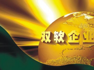 初创企业 是时候了解下双软认证了