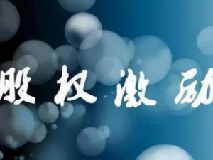 股权激励的好处 企业为何要实行