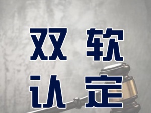 专家提醒:初创企业也应抓紧申请双软认证