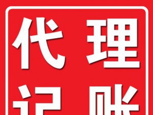 一般纳税人代理记账专业才是最重要的