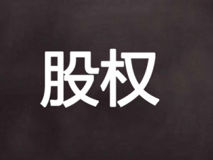 股权设计落地实施 不会执行设计又有什么用
