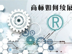 商标驳回复审需要注意哪些事项？一起来看看吧