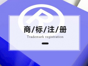 商标注册查询系统官网有什么作用
