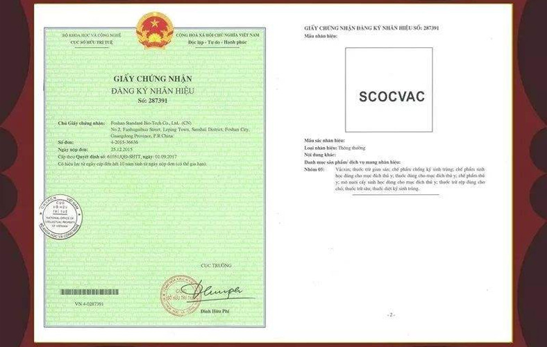 注册越南公司，需先了解这三类公司形式的区别！