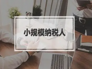 我是小规模纳税人 为什么月销售3万以下没有免增值税？