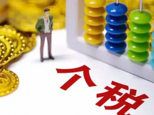个人所得税法审议8月27日至31日公民投票