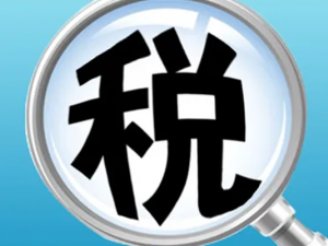 税务总局拟订发布税务部门和税务人员文档标准
