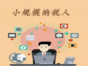 小规模纳税人享受免征增值税最关注的5个问题