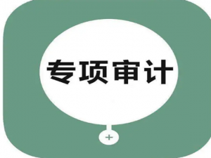 专项审计报告收费标准如何?企业应如何选择?