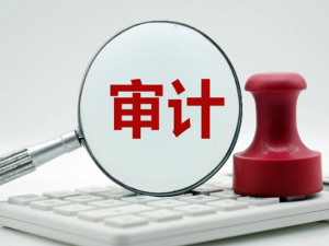 什么是专项审计报告?专项审计报告包含哪些内容?