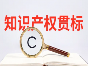 知识产权贯标已成为企业发展的基础