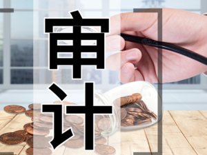 对企业来说做税审有哪些作用？