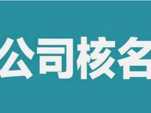 怎样办理公司核名的手续？