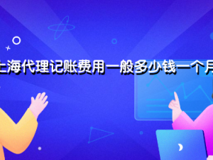 上海代理记账费用一般多少钱一个月