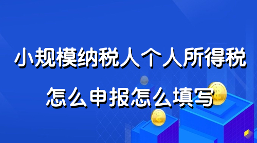 小規模納稅人個人所得稅怎麼申報怎麼填寫