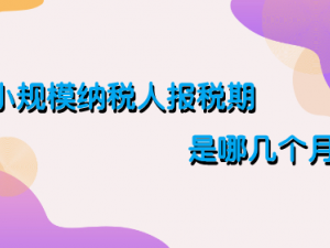 小规模纳税人报税期是哪几个月 报税日期介绍