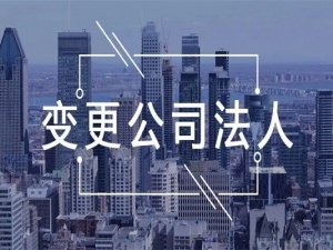 外资公司变更法人需要什么材料