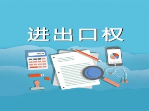 办理进出口权需要费用吗