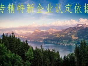 专精特新企业认定依据有哪些