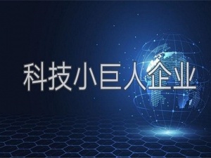 小巨人企业的认定条件有哪些