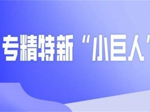 科技小巨人企业申报条件有哪些
