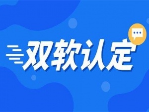 双软企业认证标准有哪些