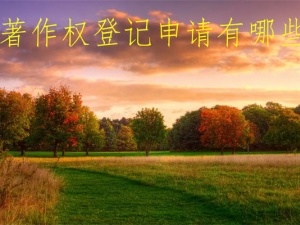 著作权登记申请有哪些