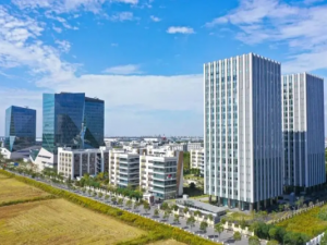 高新技术企业中专利转让需要多长时间有明确规定吗？