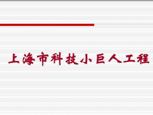 上海科技小巨人企业认定条件都有哪些？