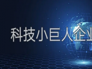 被评为科技小巨人企业称号后企业会有哪些政策扶持？