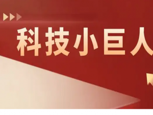 国家级科技小巨人企业奖励都有哪些？