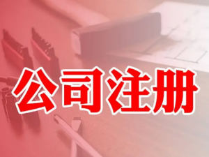 上海自贸区公司注册流程步骤汇总