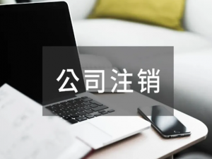 内资公司注销程序步骤汇总