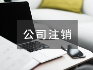 个人独资公司如何注销?