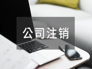 上海青浦区公司注销资质有哪些?