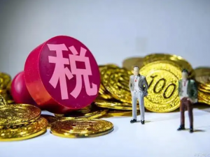 增值税小规模纳税人的认定标准是怎样的？