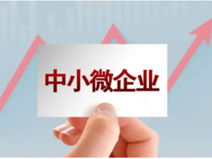 什么叫小规模纳税人？小型微利企业的认定标准是怎样的？