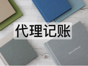 什么是一般纳税人和小规模纳税人 两者的划分标准有哪些？