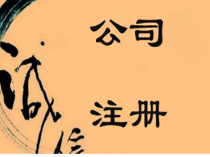 不同注册公司类型特点汇总