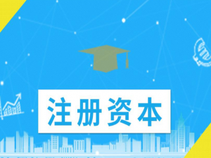 注册一般纳税人注册资本是多少合适