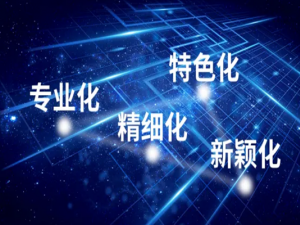什么是专精特新小巨人 专精特新小巨人有哪些特点？